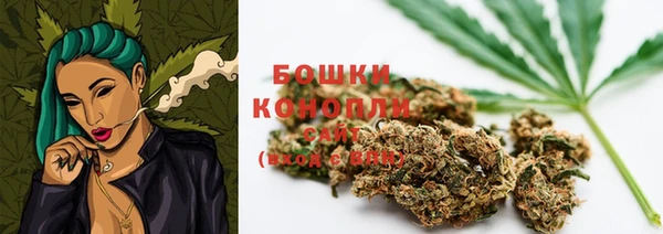 гашик Каменногорск