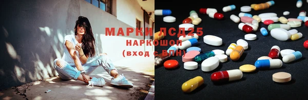гашик Каменногорск