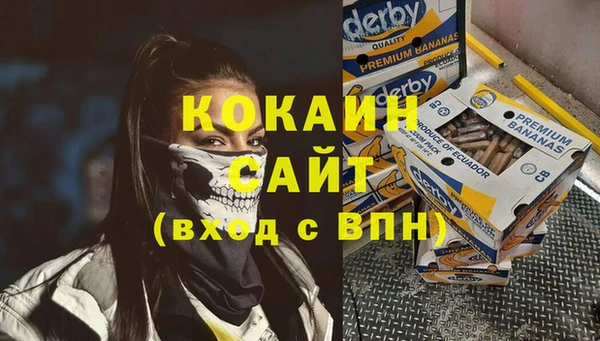 гашик Каменногорск