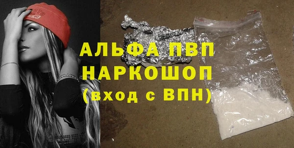 гашик Каменногорск