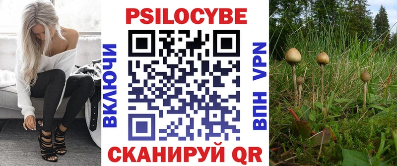 Псилоцибиновые грибы Psilocybine cubensis  Купить  Мантурово 